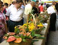 I "Funghi in piazza" al Borgo Loreto